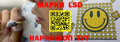 mdpv Краснознаменск